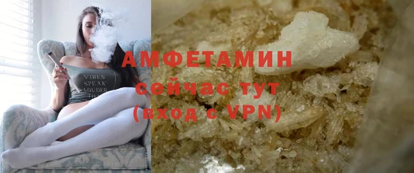 твердый Инсар
