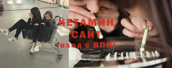 твердый Инсар