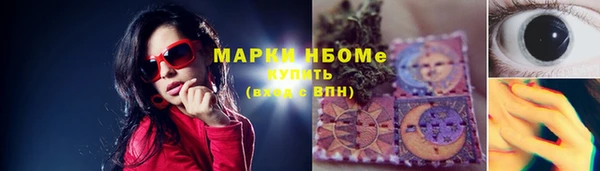 твердый Инсар