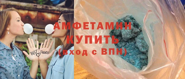 твердый Инсар