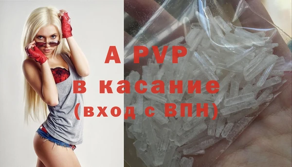 твердый Инсар